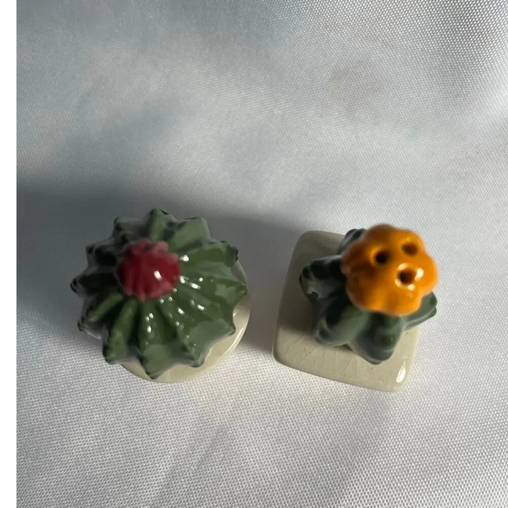 Vintage Succulents Cactus Salt & Pepper Shakers Small Pair Home Decor Western
